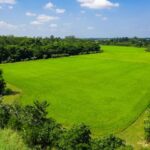 Total Environment Rajanukunte