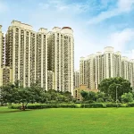 Prestige Golden Grove