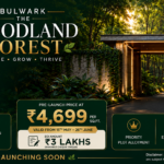 Bulwark The Woodland Forest