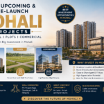 Upcoming Projects in Mohali